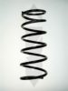 SPIDAN 86334 Coil Spring